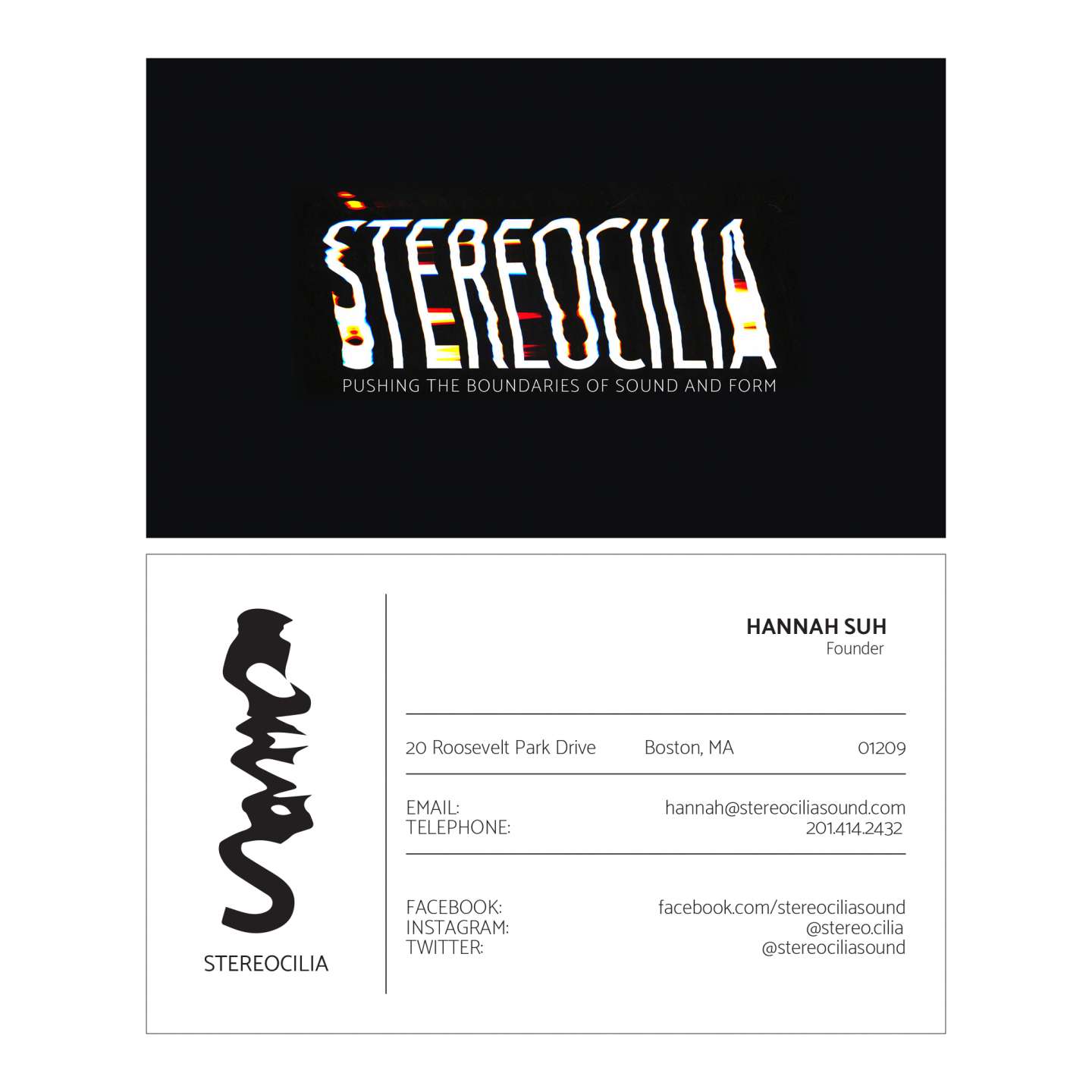 Stereocilia Sound - an ambient noise record label