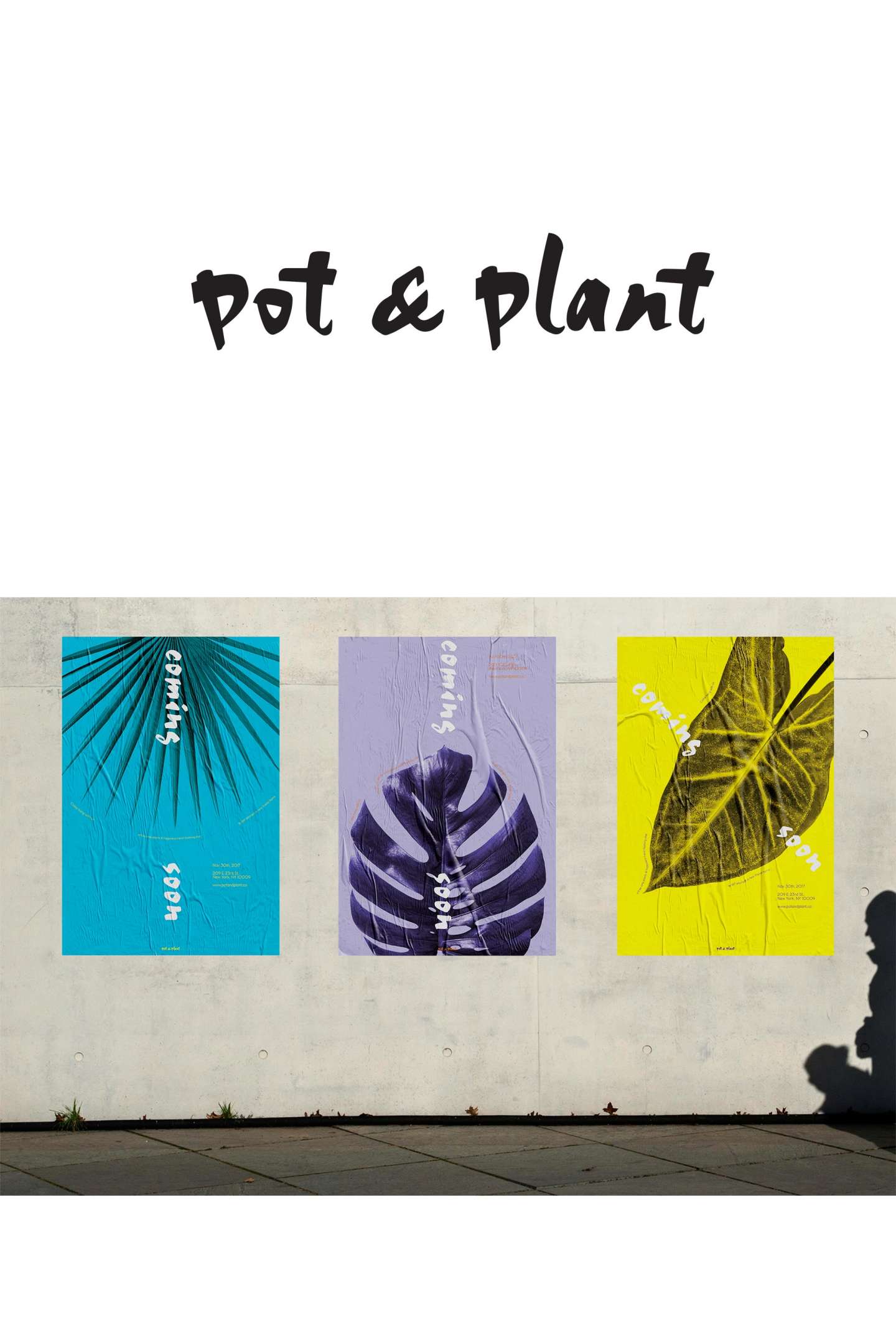 Pot & Plant II — Greenery Store