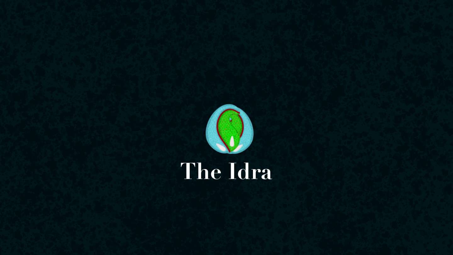 THE IDRA