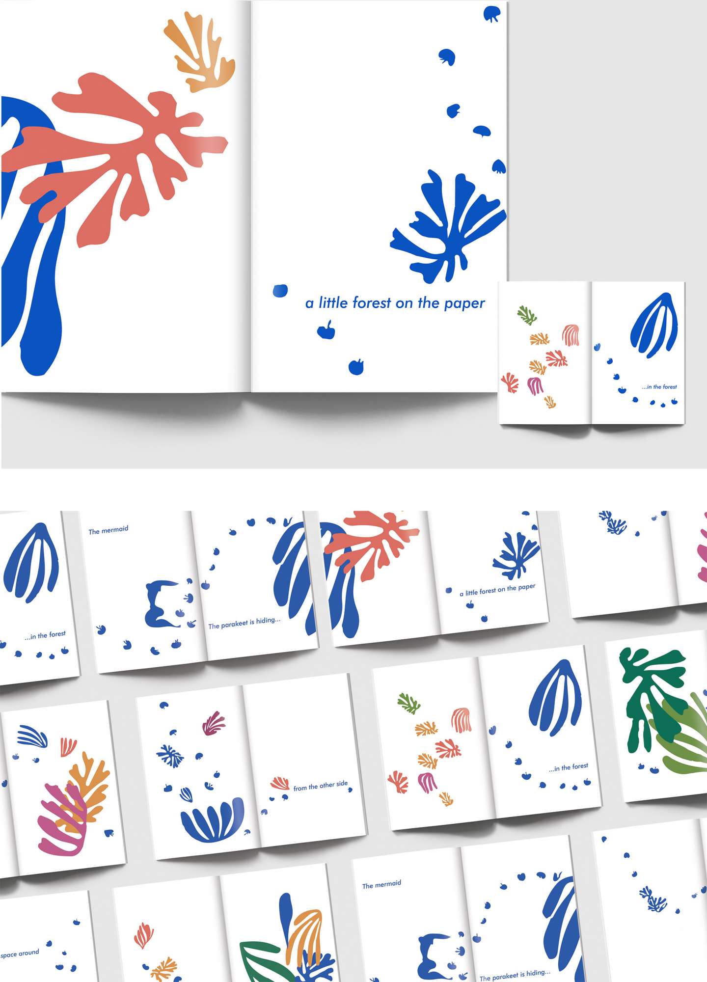 Matisse Poster and Booklet