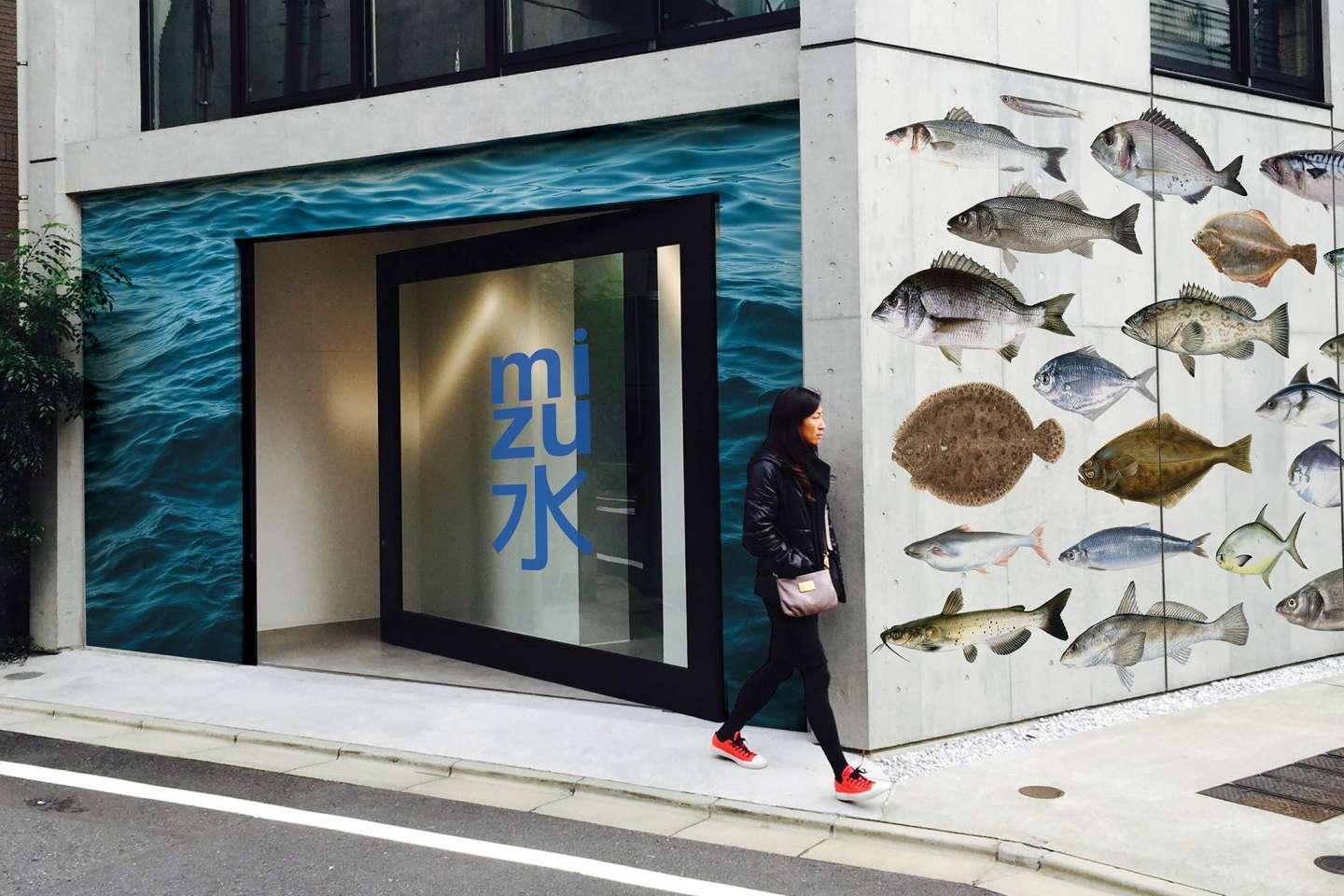 Mizu Fish Branding