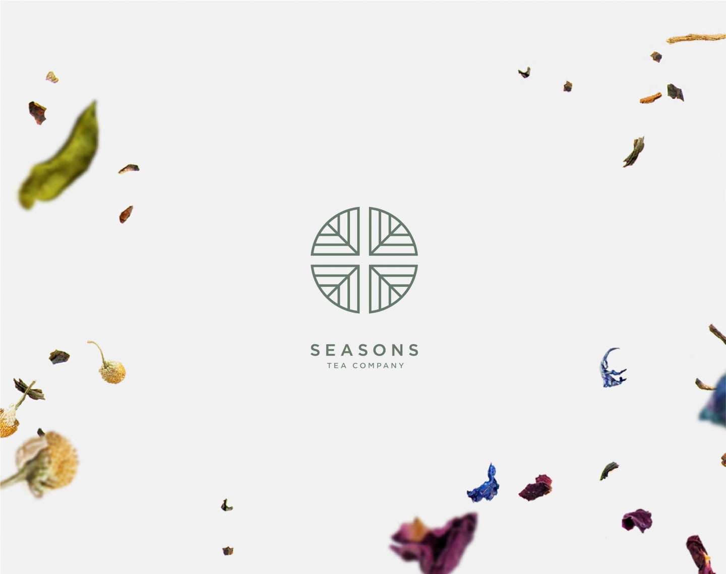 Seasons Tea Branding