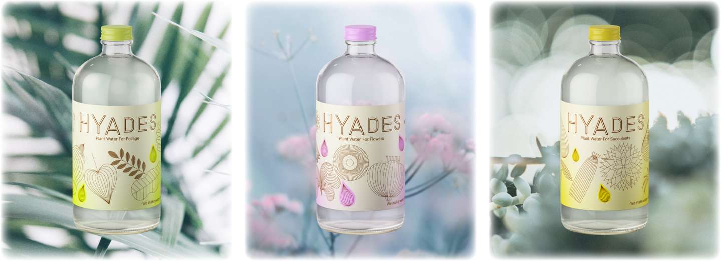 Hyades
