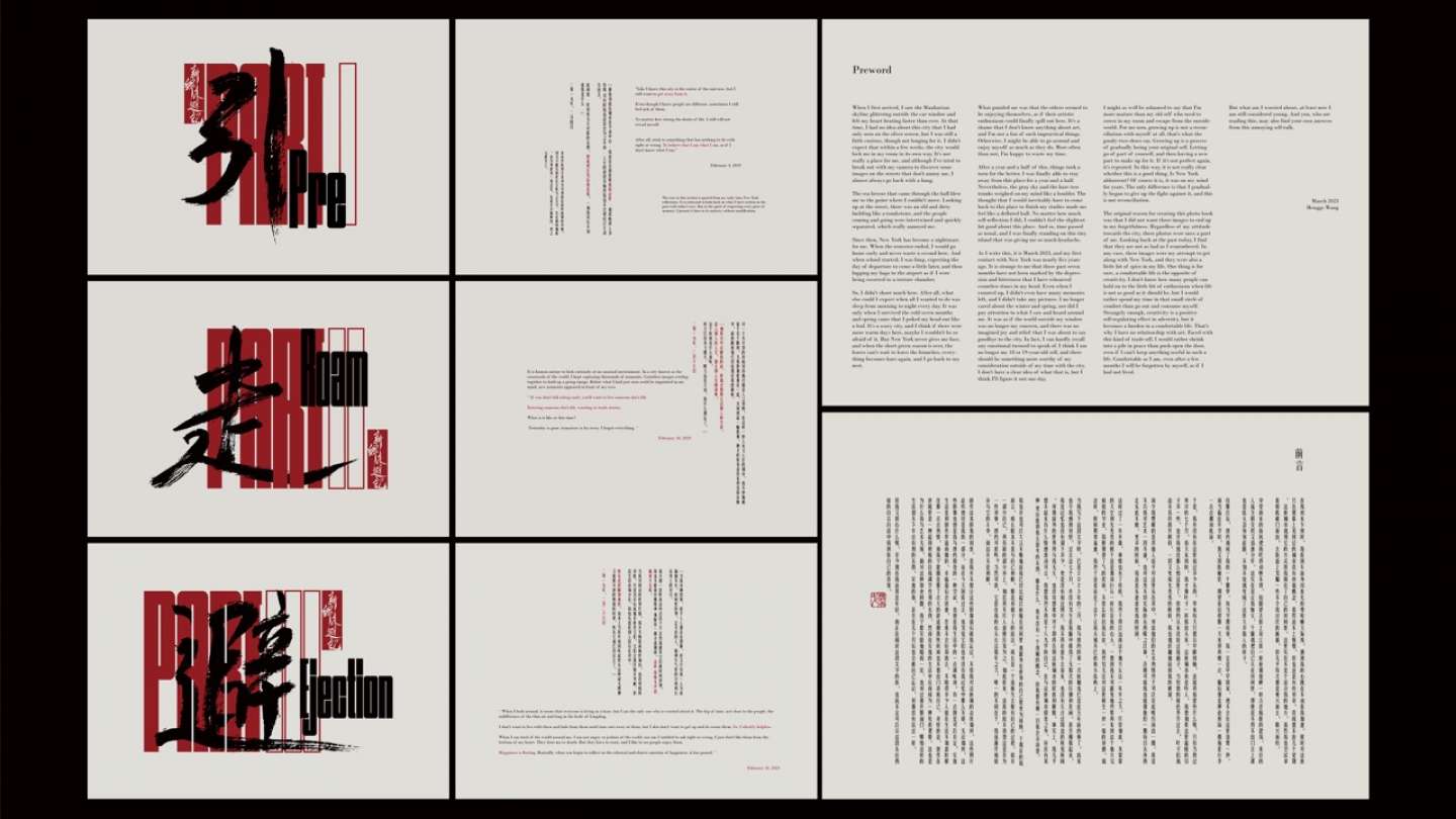 "EJECTION": BOOK DESIGN PROJECT