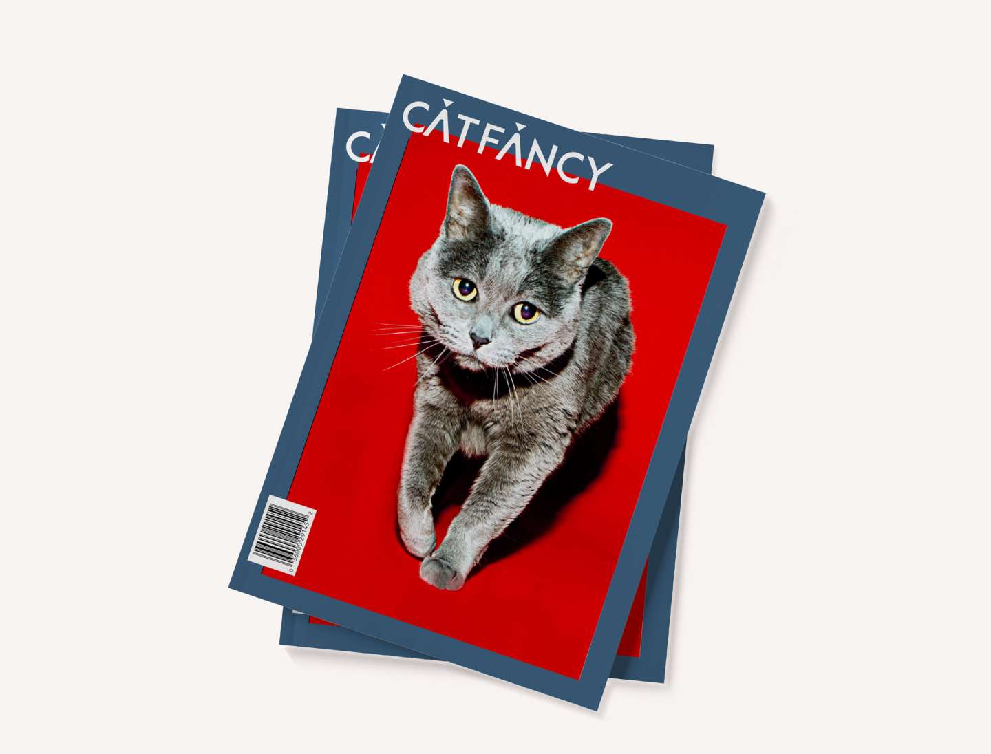 Cat Fancy Magazine