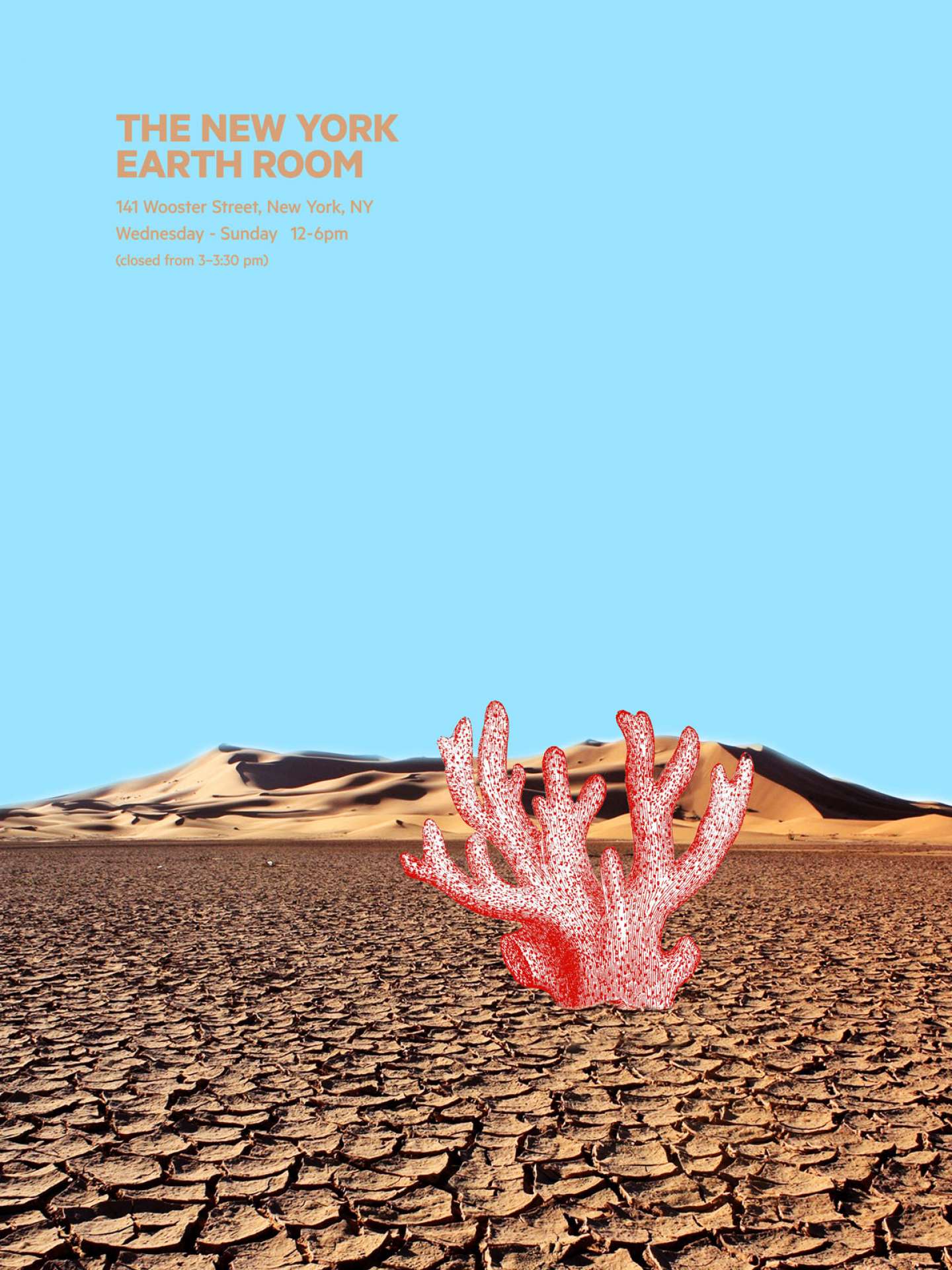 New York Earth Room Poster