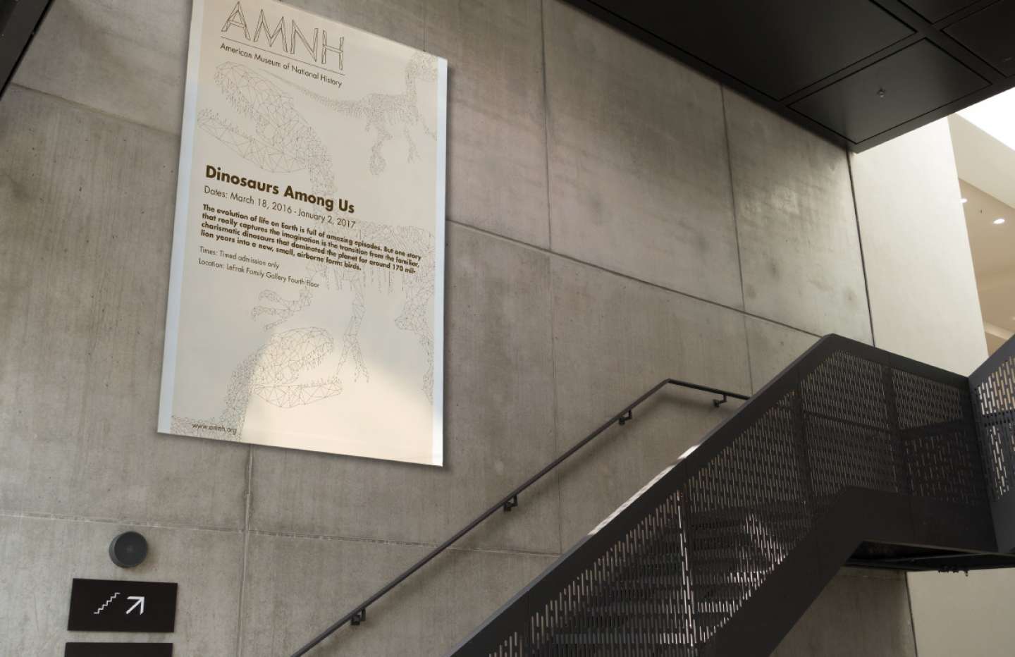 AMNH Rebranding