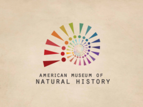 American Museum of Natural Hitory