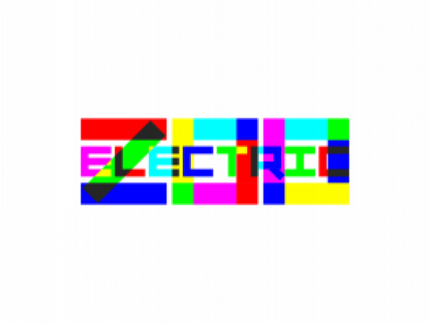 Electric Zoo Branding