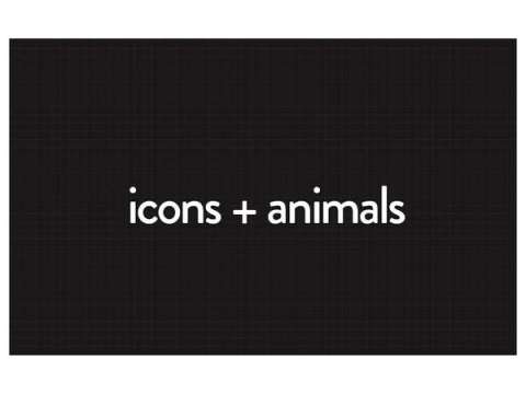 Animals + Icons