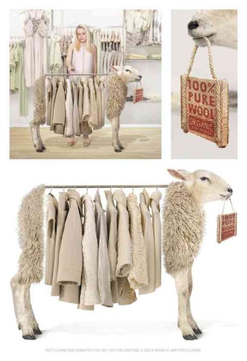 Organic by John Patrick - Rack of Lamb / Non-Traditional Advertising