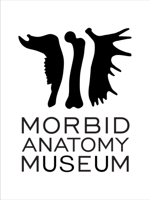 Morbid Anatomy Museum Identity