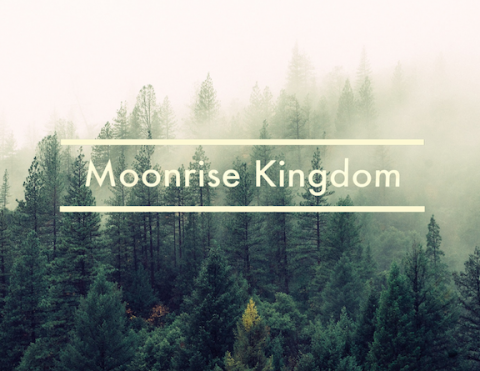 Moonrise Kingdom Motion Graphic