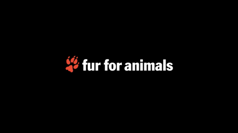 Fight Animal Furs