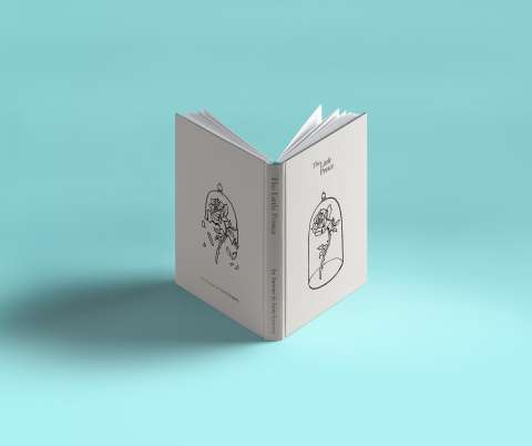 Little Prince Book Cover & Illustrations