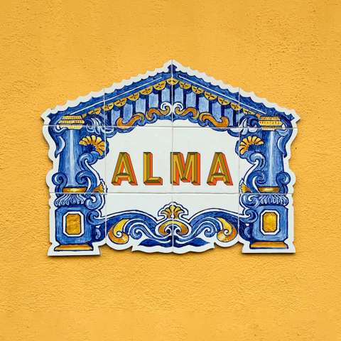Casa Alma Branding 