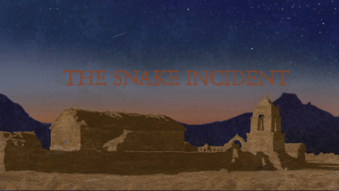 The Snake Incident