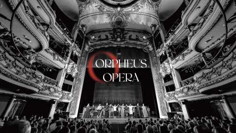 Orpheus Opera Branding
