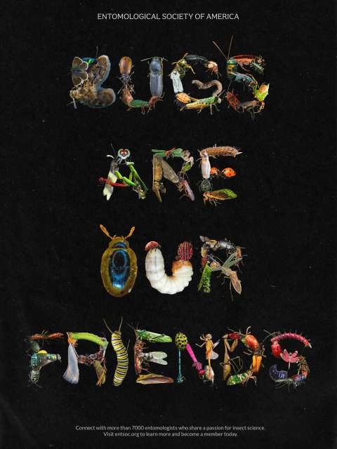 Bugs Are Our Friends Posters
