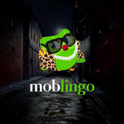Mob Lingo