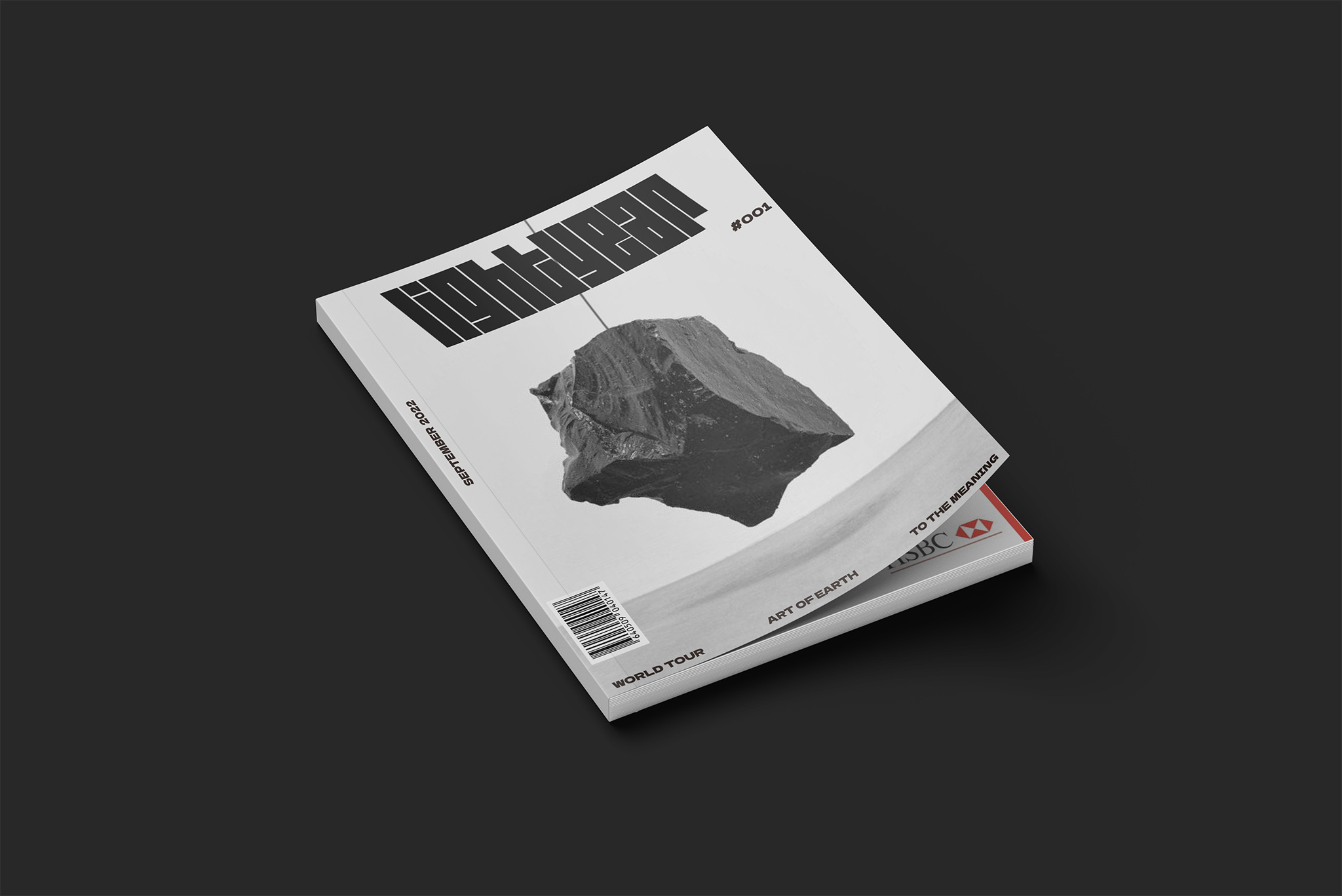 Magazine Design By Yuanduo Wang Sva Design