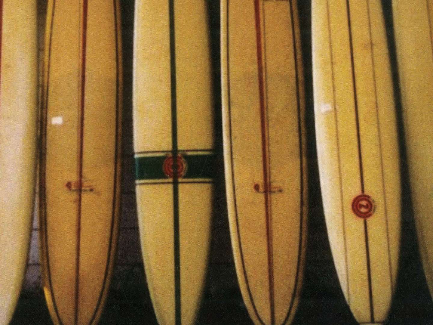 Bunger Surf Rebranding
