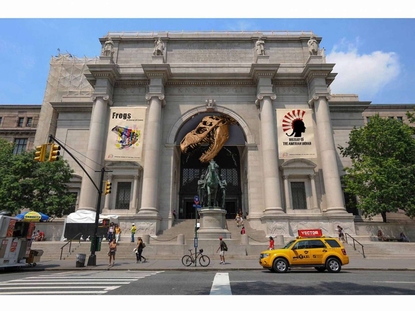 American Museum of Natural Hitory