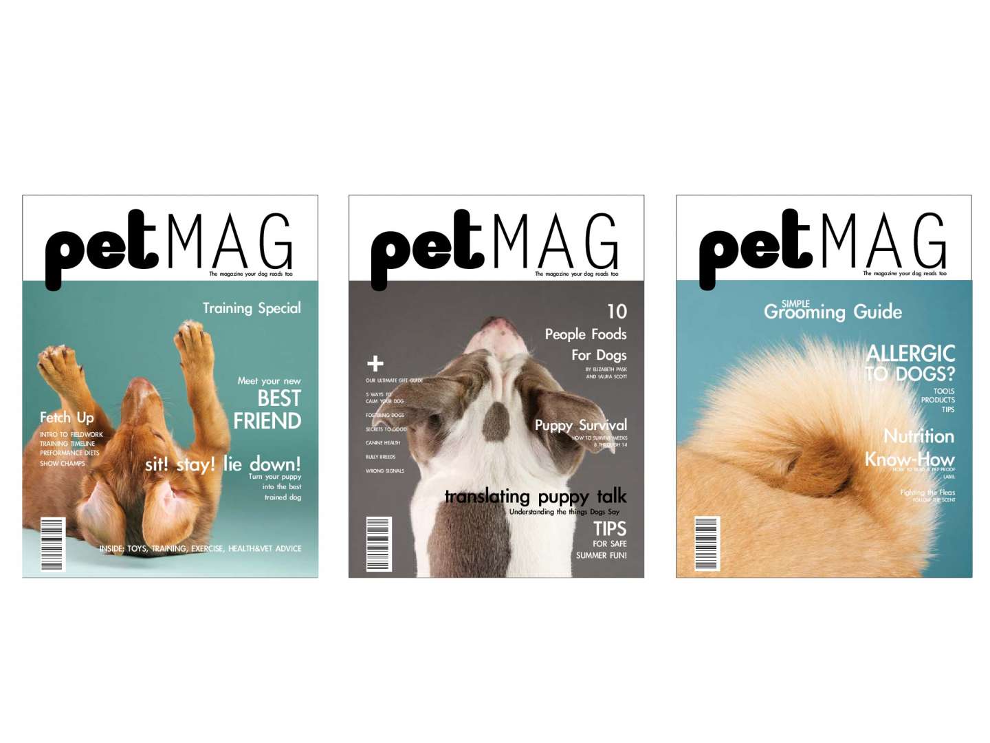 petMAG Magazine Covers