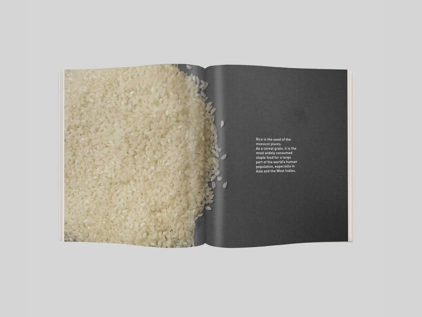 Paper Book : All about Rice