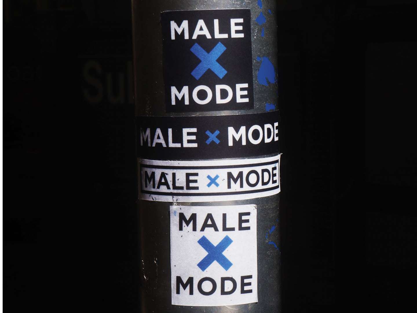 MALE x MODE