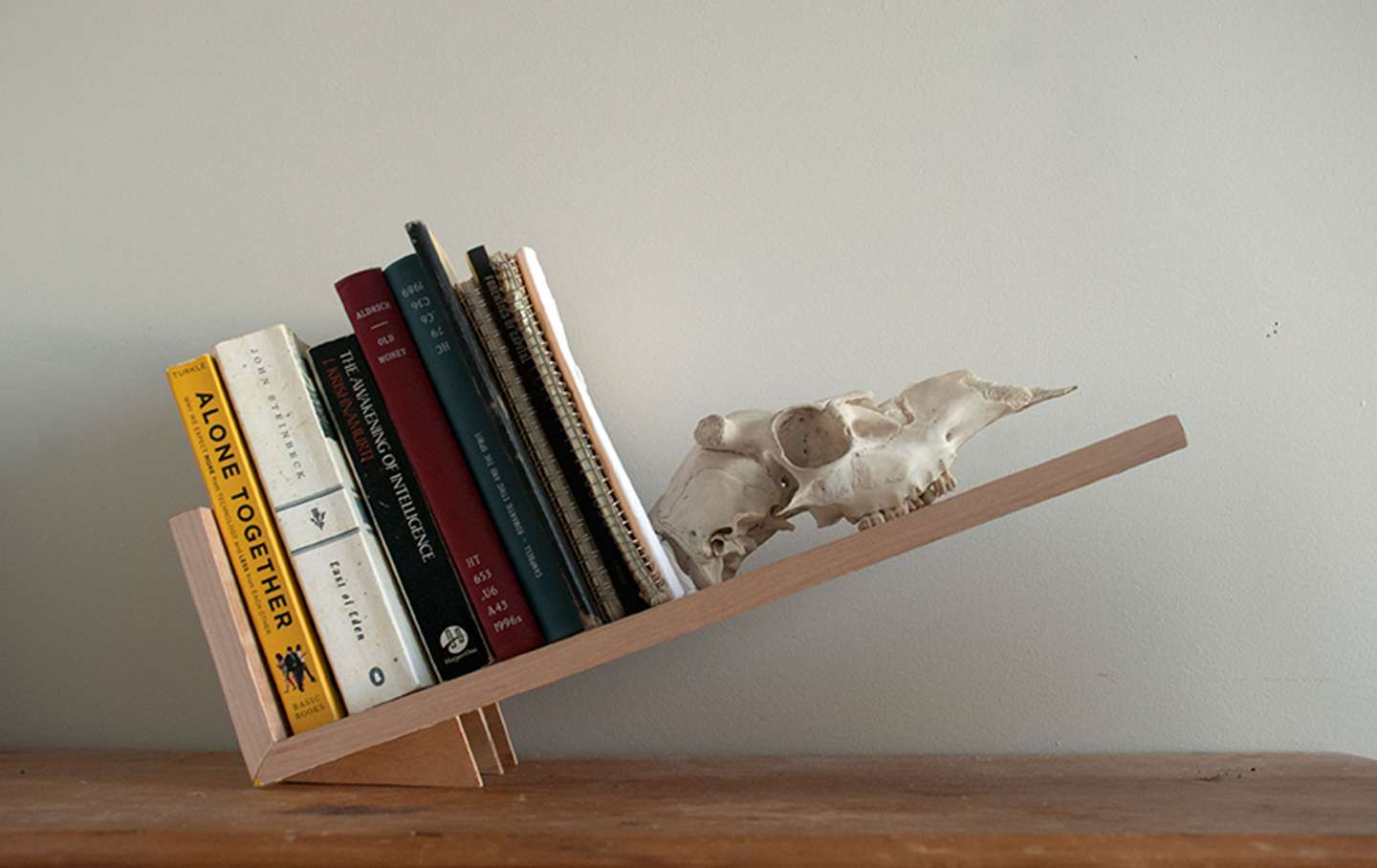 Tilted Bookshelf By Hannah Palant Sva, Tilted Shelf Bookcase