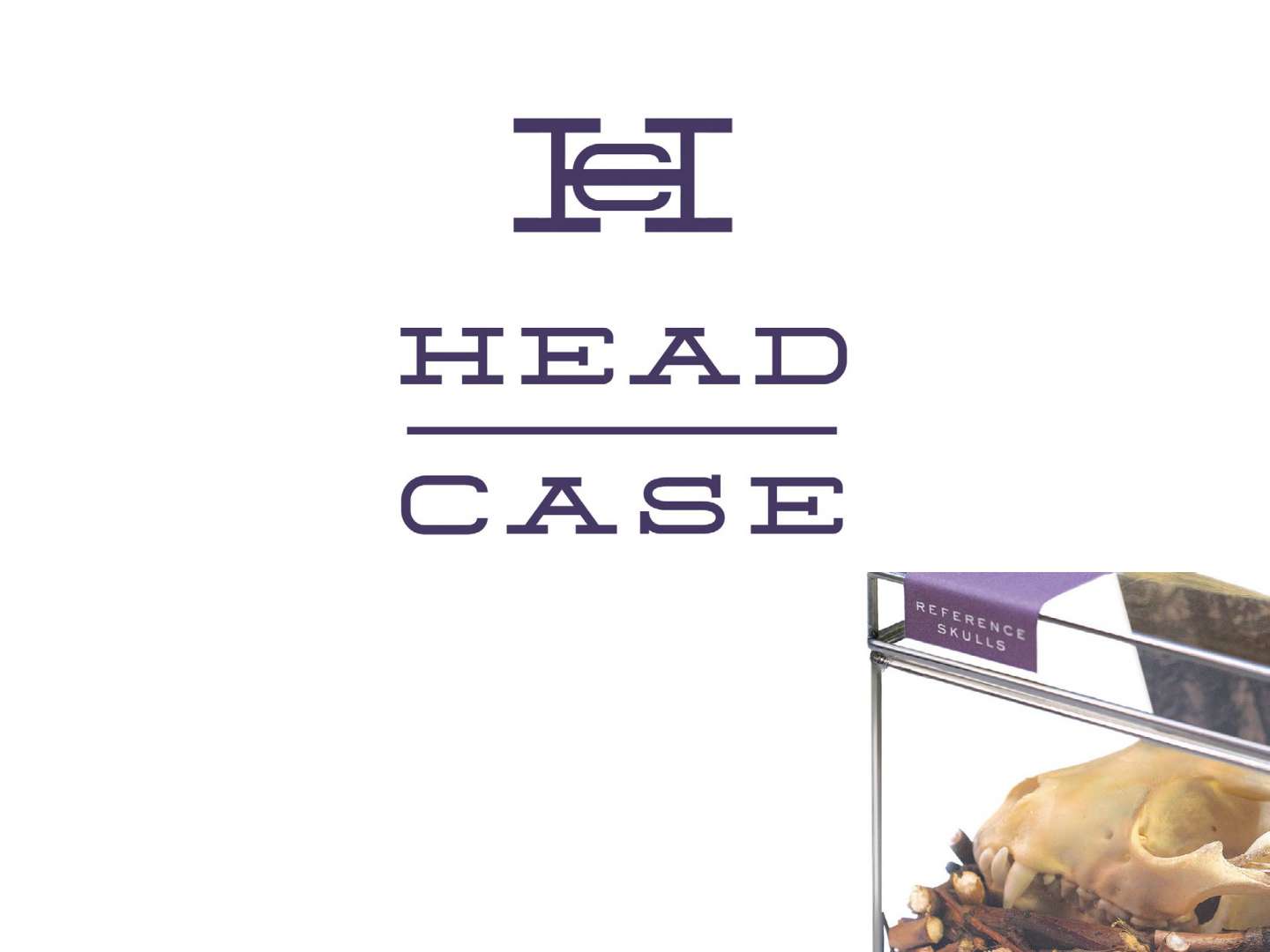 Head Case Packaging