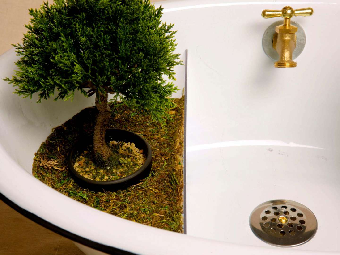 Bonsai Tree Sink