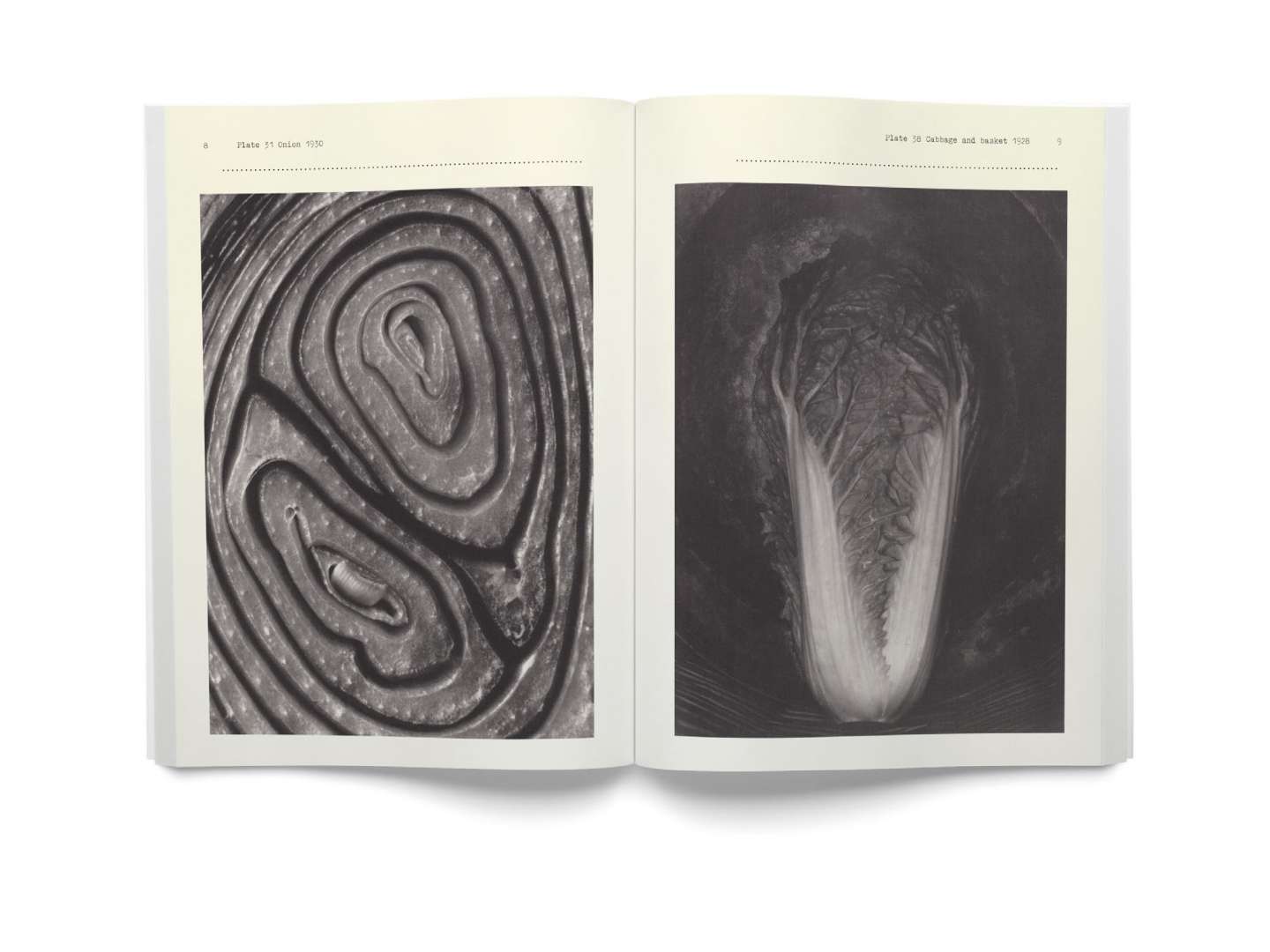 Black and White Magazine Edward Weston Feature