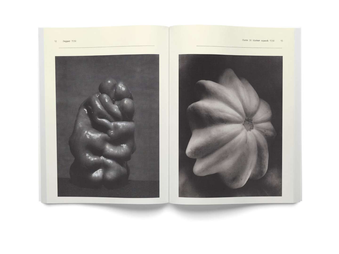 Black and White Magazine Edward Weston Feature