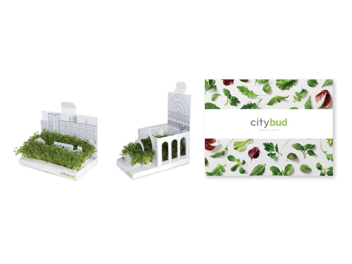 CityBud