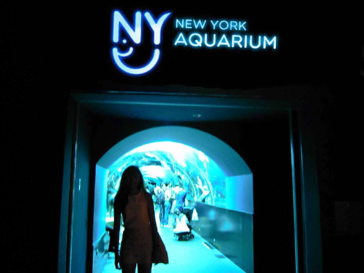 New York Aquarium Re-Branding