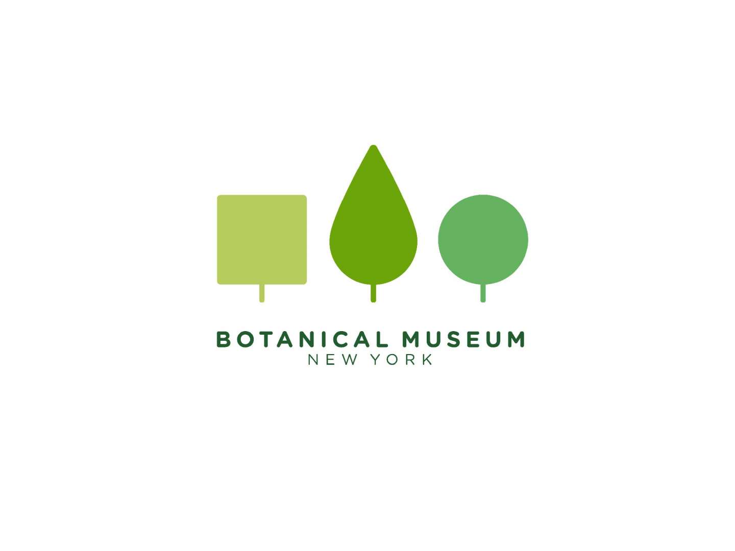 Branding for Botanical Museum of New York