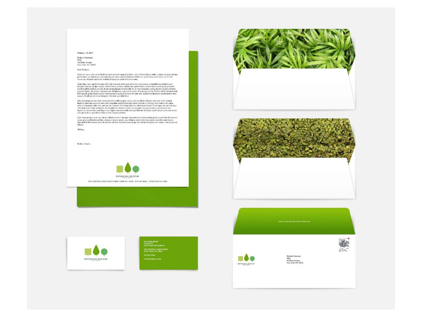 Branding for Botanical Museum of New York