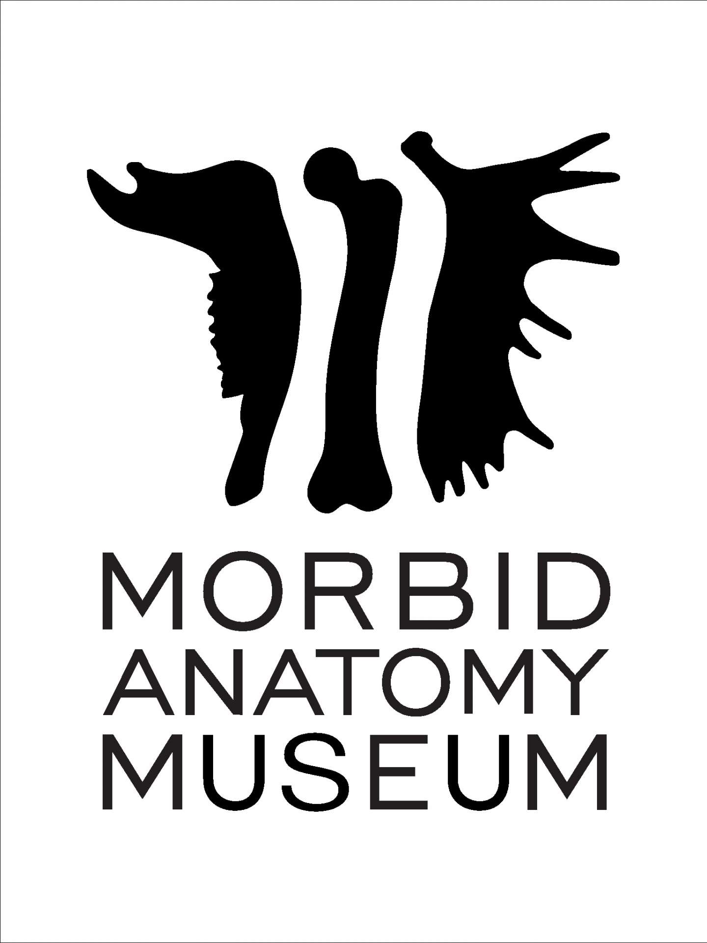 Morbid Anatomy Museum Identity