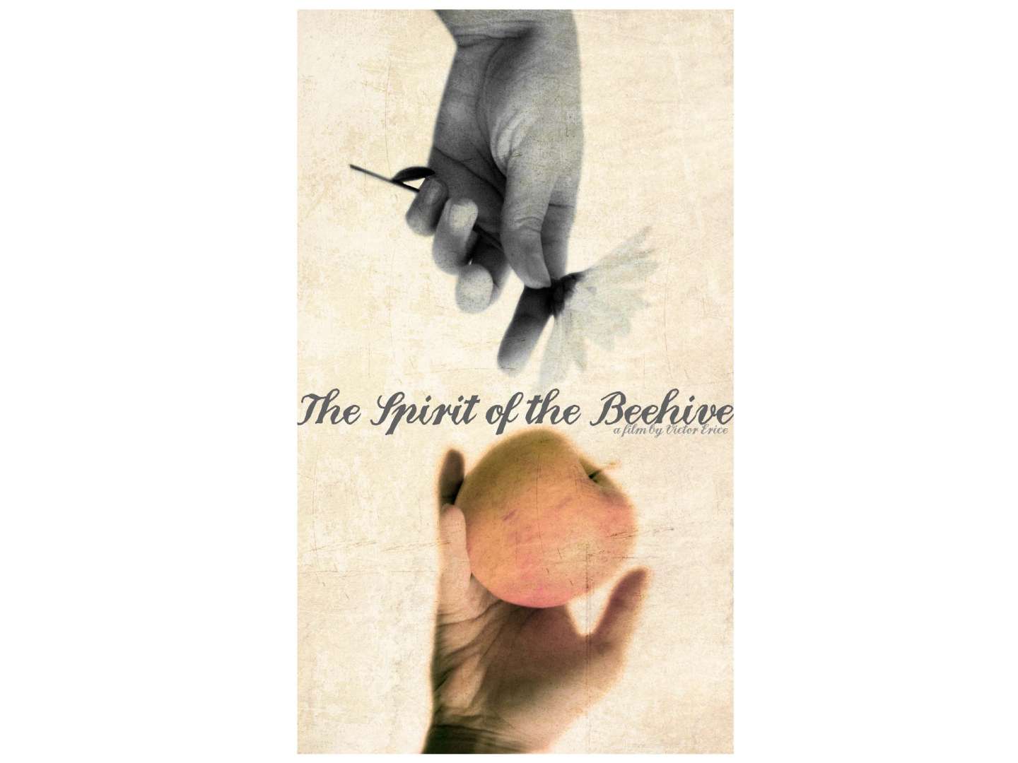 The Spirit of the Beehive Movie Poster