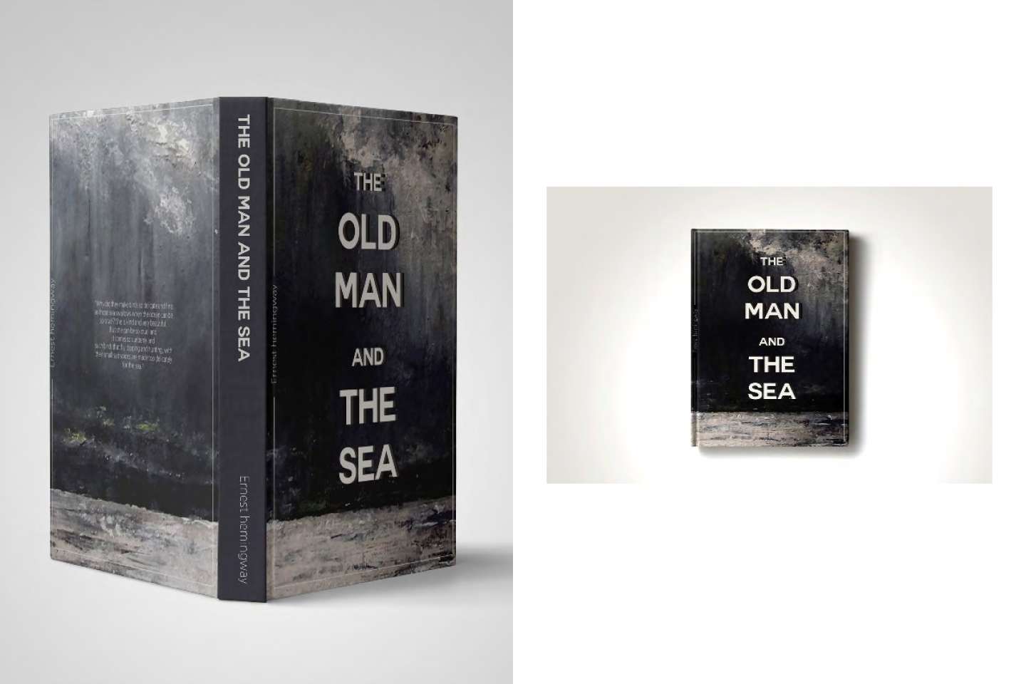 Old Man and The Sea Book Jacket Design