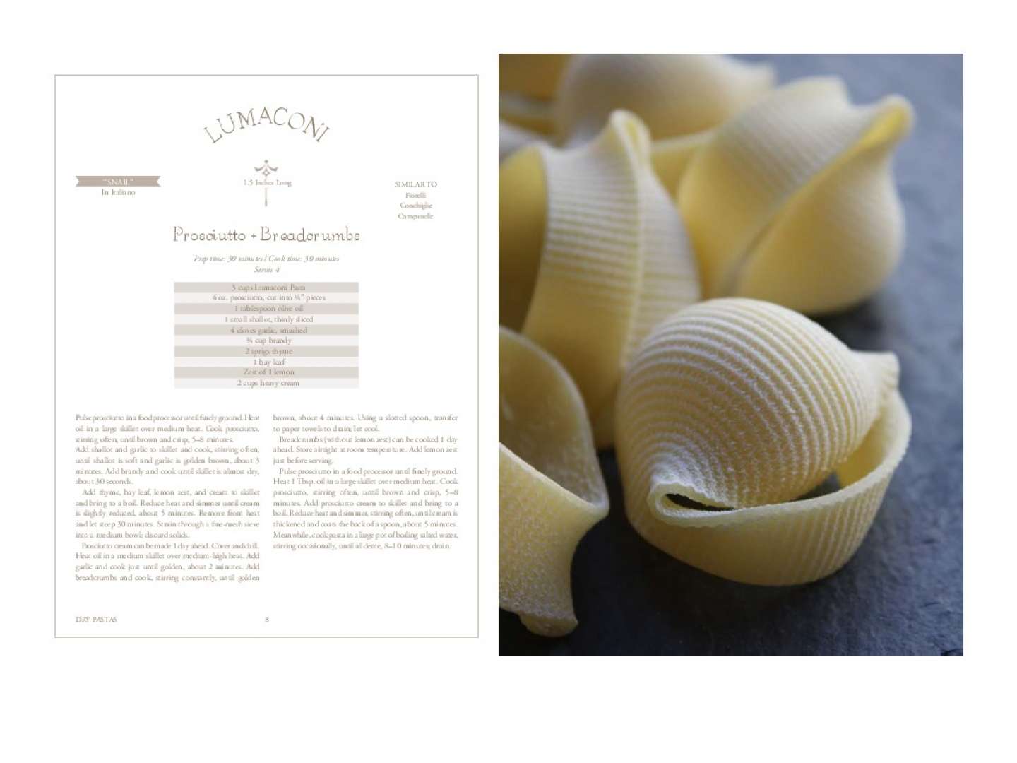 Lauren Ronquillo's Pasta 101 Book Design