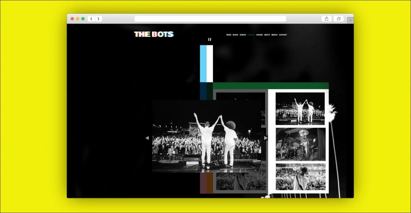 The Bots Website