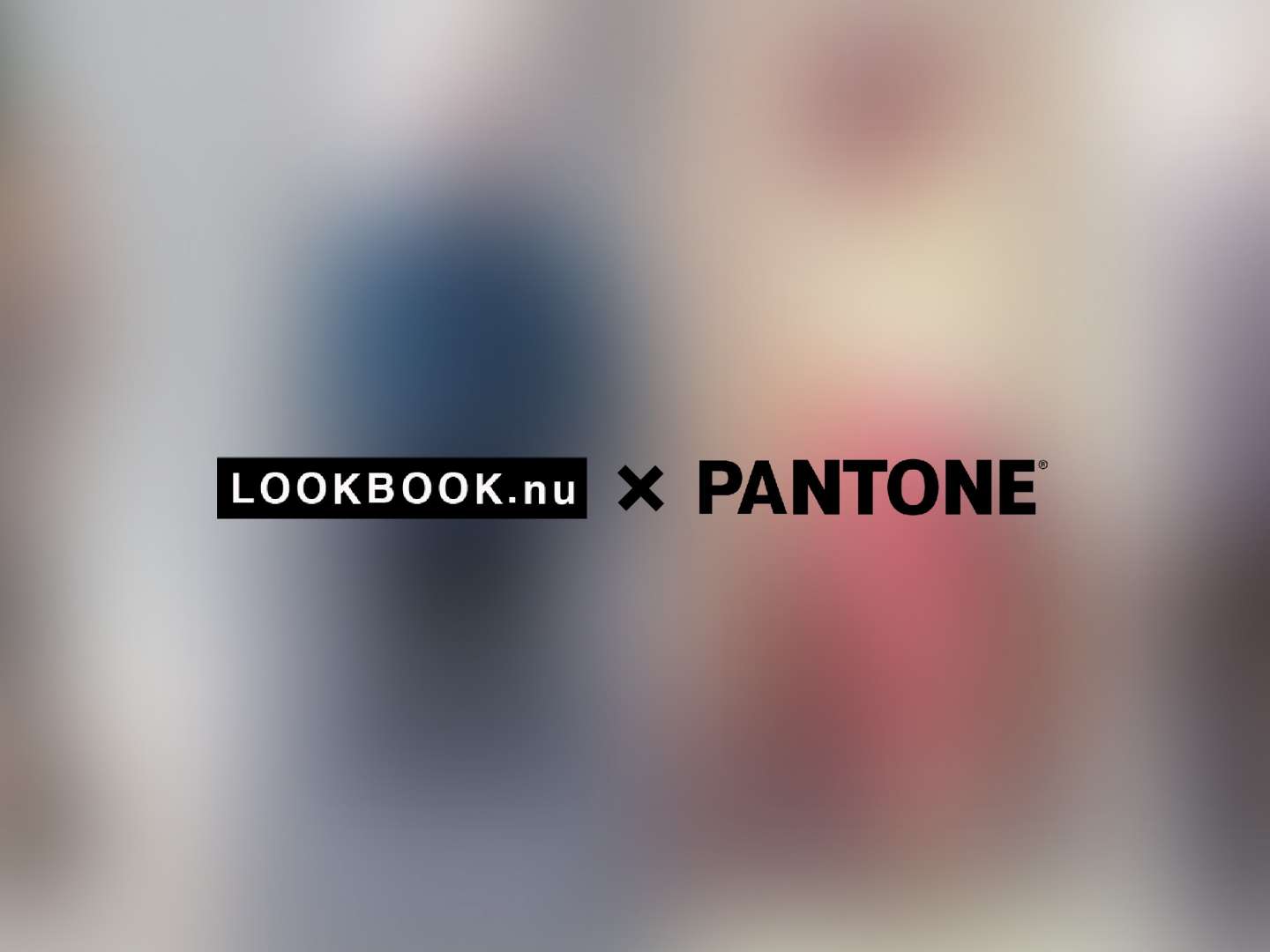 LookBook X Pantone