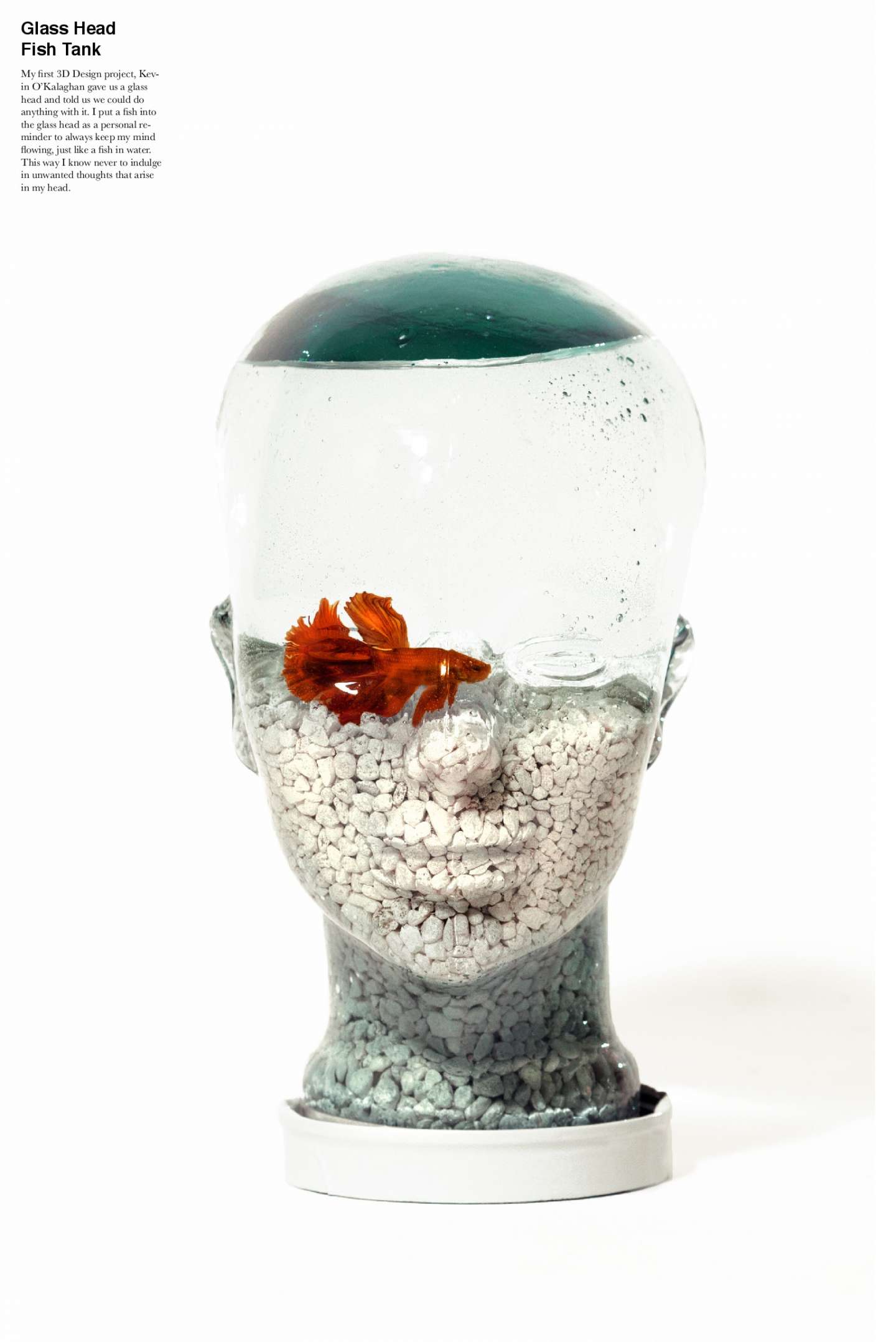 Glass Head Fish Tank by Josealberto Herrera – SVA Design