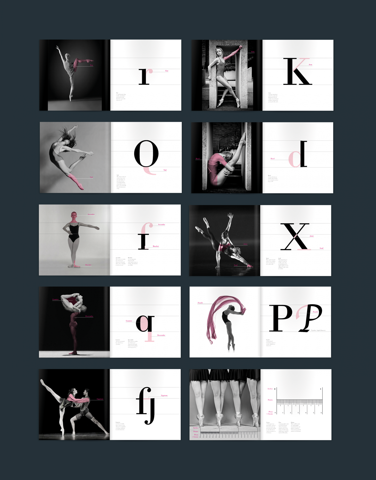 Anatomy of Letterforms