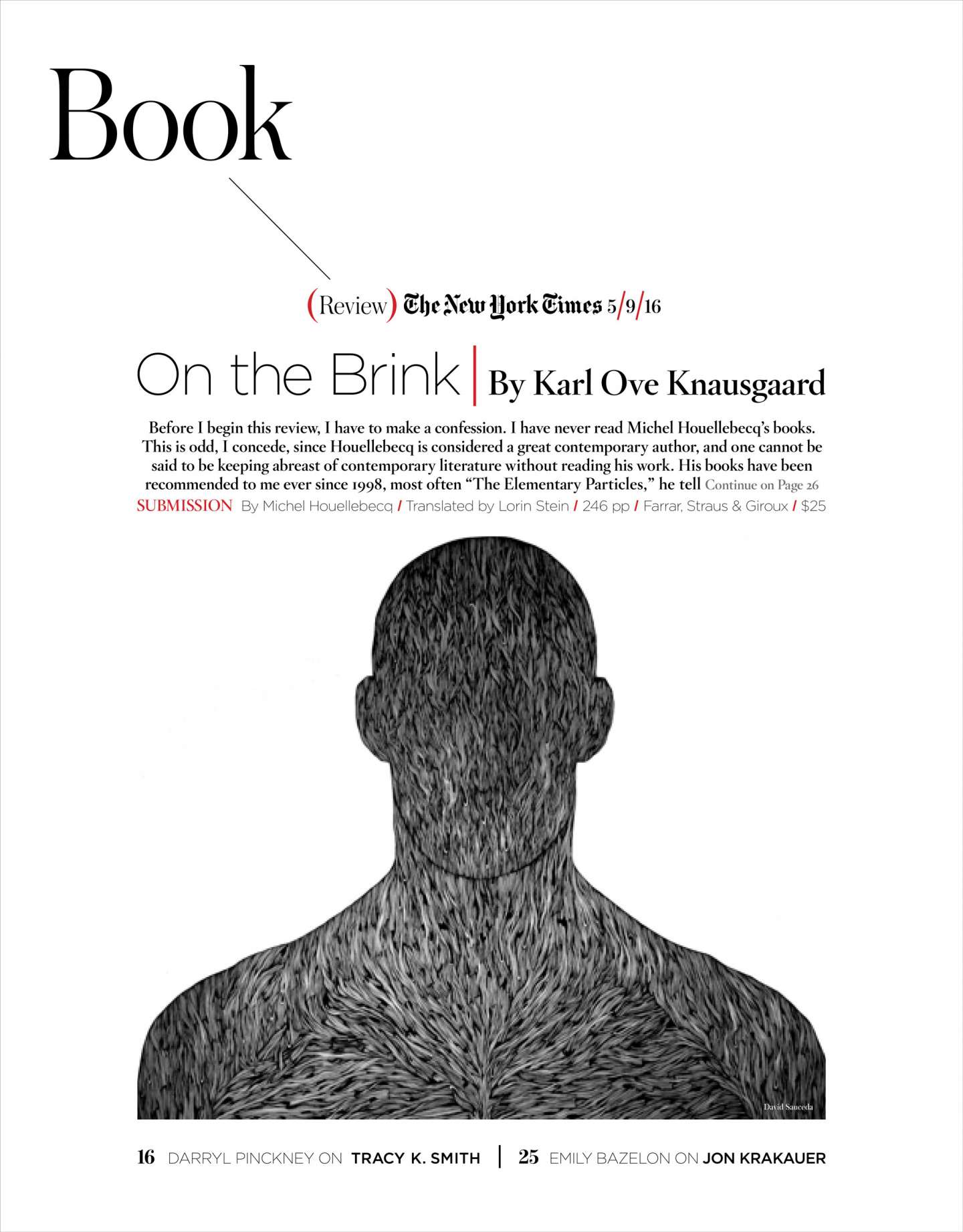The New York Times Book Review Cover Redesign by Ying Chen SVA Design