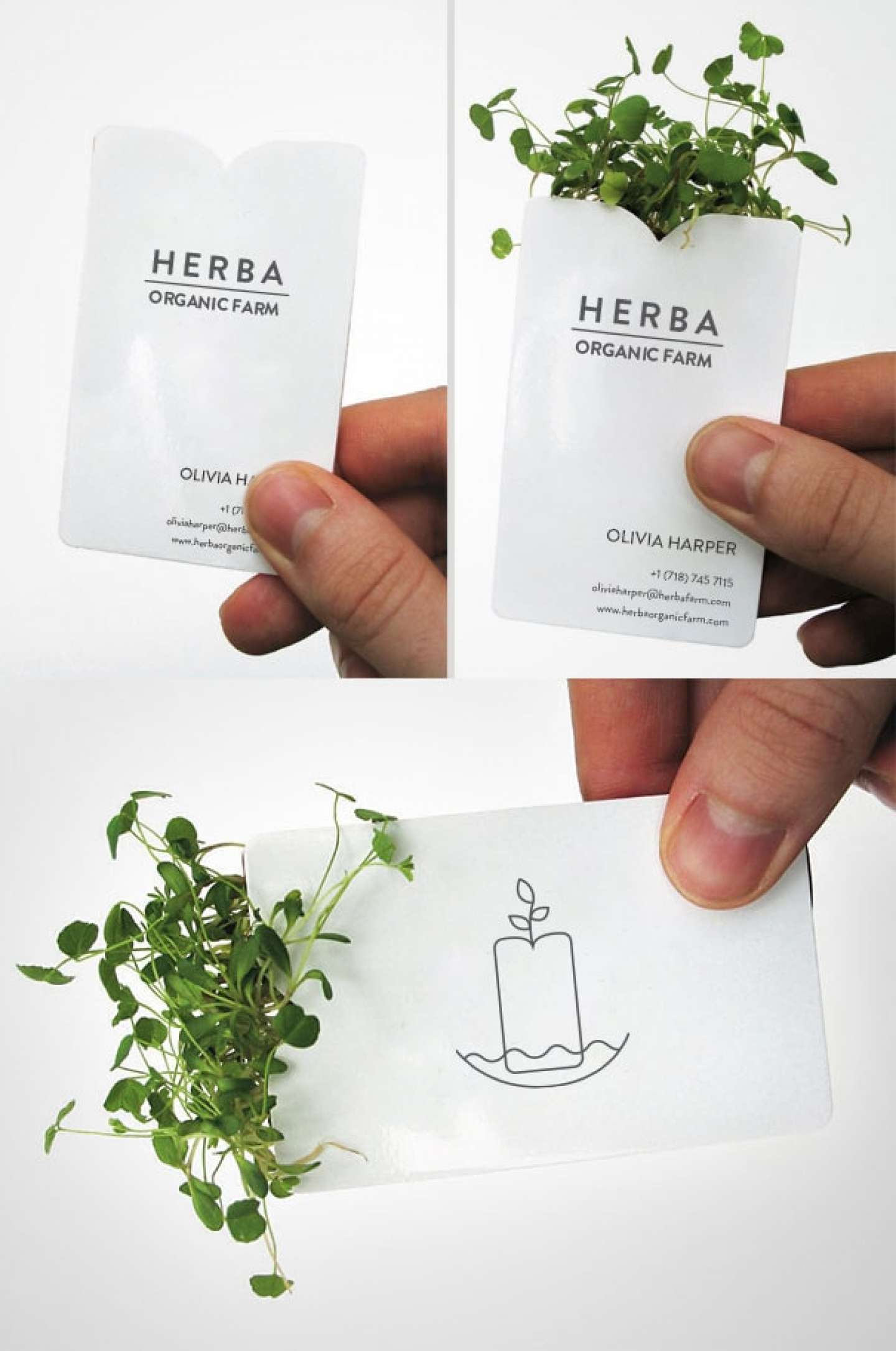 Herba Farm