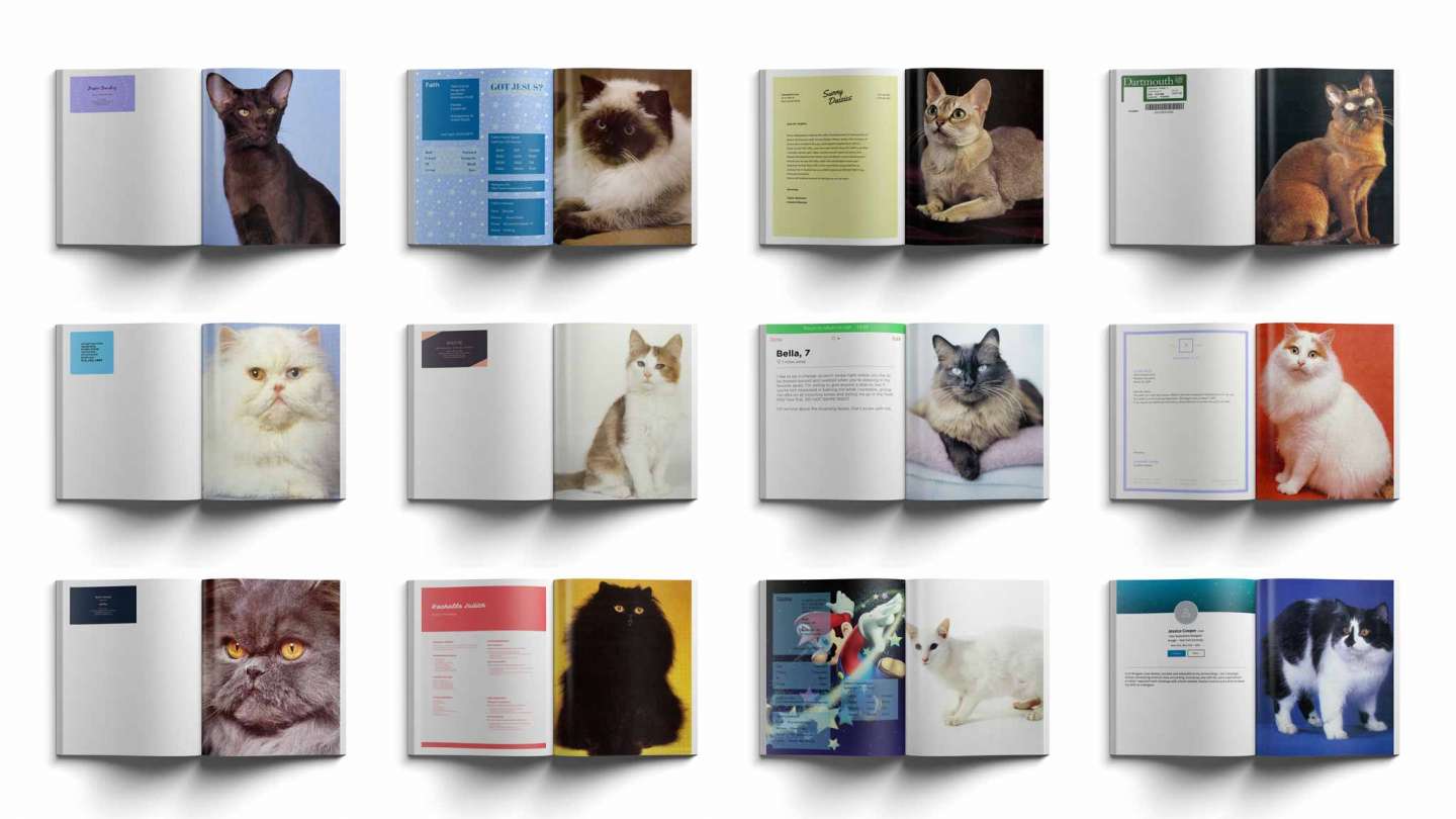 Photo Book: Cats of NYPL